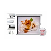 Brite Motorized Screen MR-1818, MR-2121, MR-2424, MR-3030, MR-366366-SL, MR-305406-SL